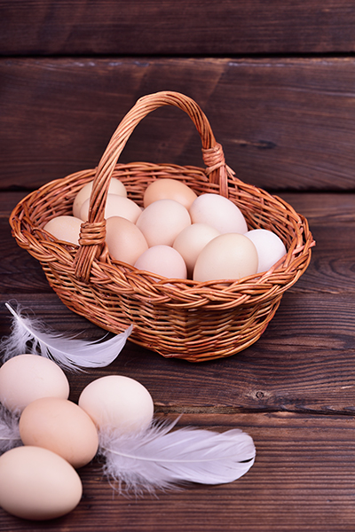eggs